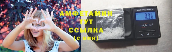 молекула духа Горнозаводск
