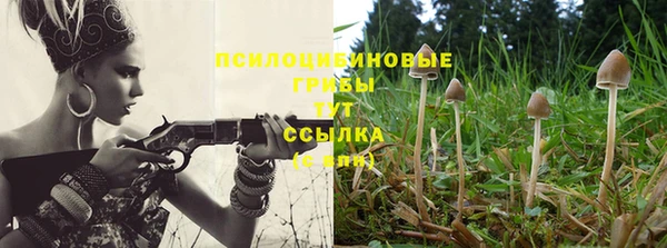 2c-b Вязьма