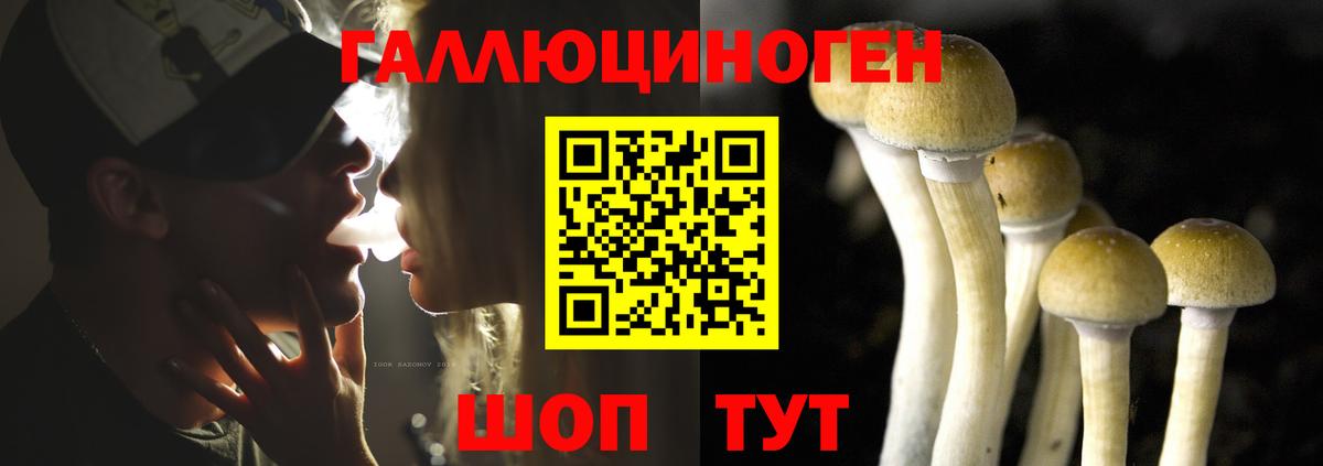 Осинники  Псилоцибиновые грибы ЛСД  Вход с VPN  Псилоцибиновые грибы Psilocybe 